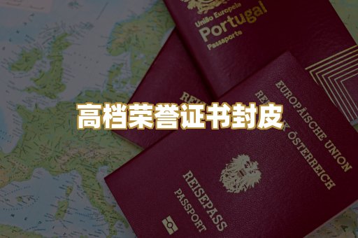 机动车驾驶证排版