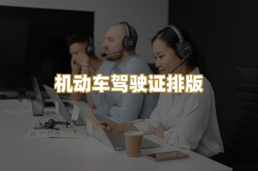 机动车驾驶证排版